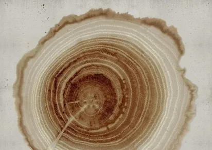 Обои WALL&DECO Contemporary Wallpaper 2021 WDEE2102 Спец цена , звоните